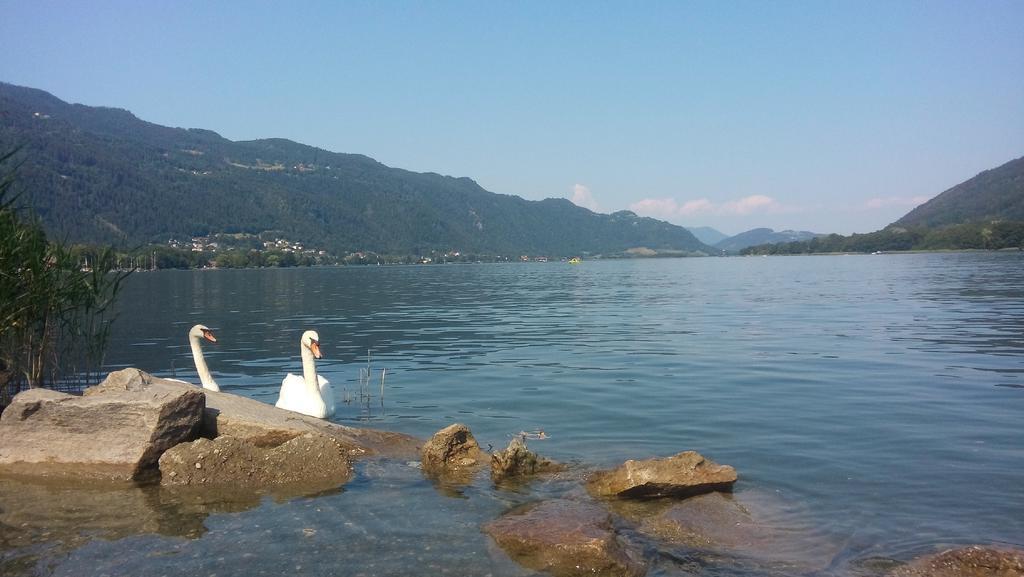 Haus Am Wald Leilighet Steindorf am Ossiacher See Eksteriør bilde